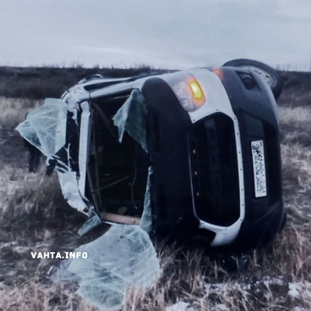 Водитель пожалел лису и опрокинул автобус с вахтовиками
